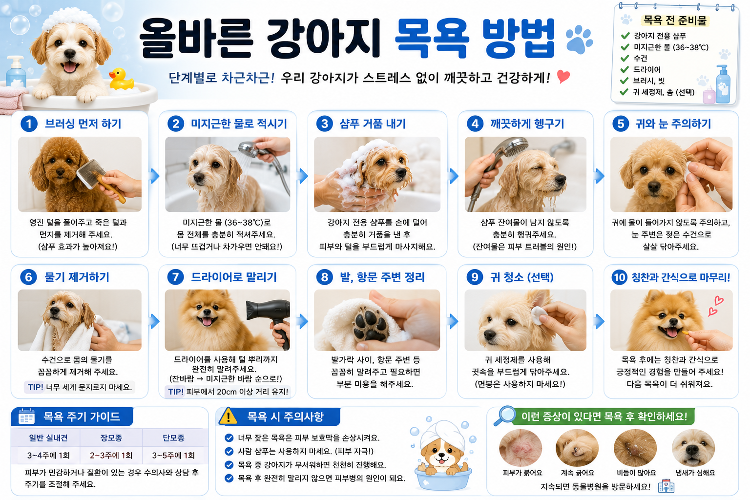 올바른 강아지 목욕 방법 이미지