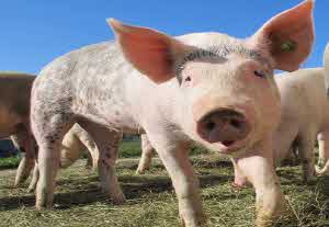 턱관절 통증 소리 치료방법 (실제후기)