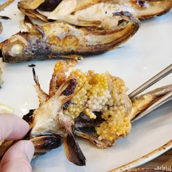 속초 바람 방향 영금정 산책 계단 휴식 포인트 소개_12