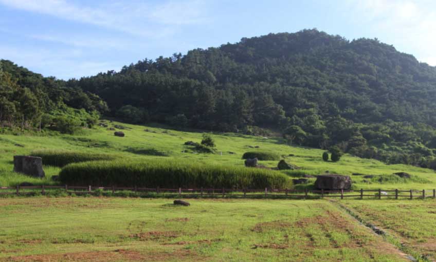 고창고인돌공원