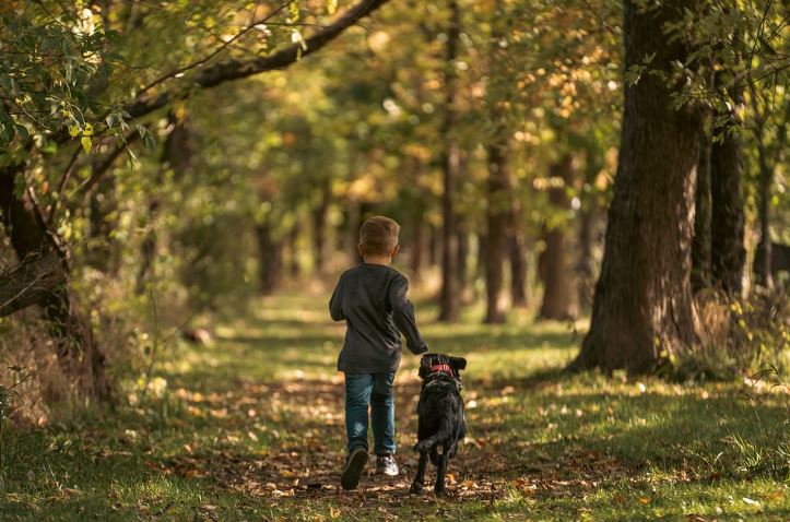 울창한 숲 속 길을 남자아이와 검은 색 강아지가 뒷모습을 보이며 뛰어가는 모습