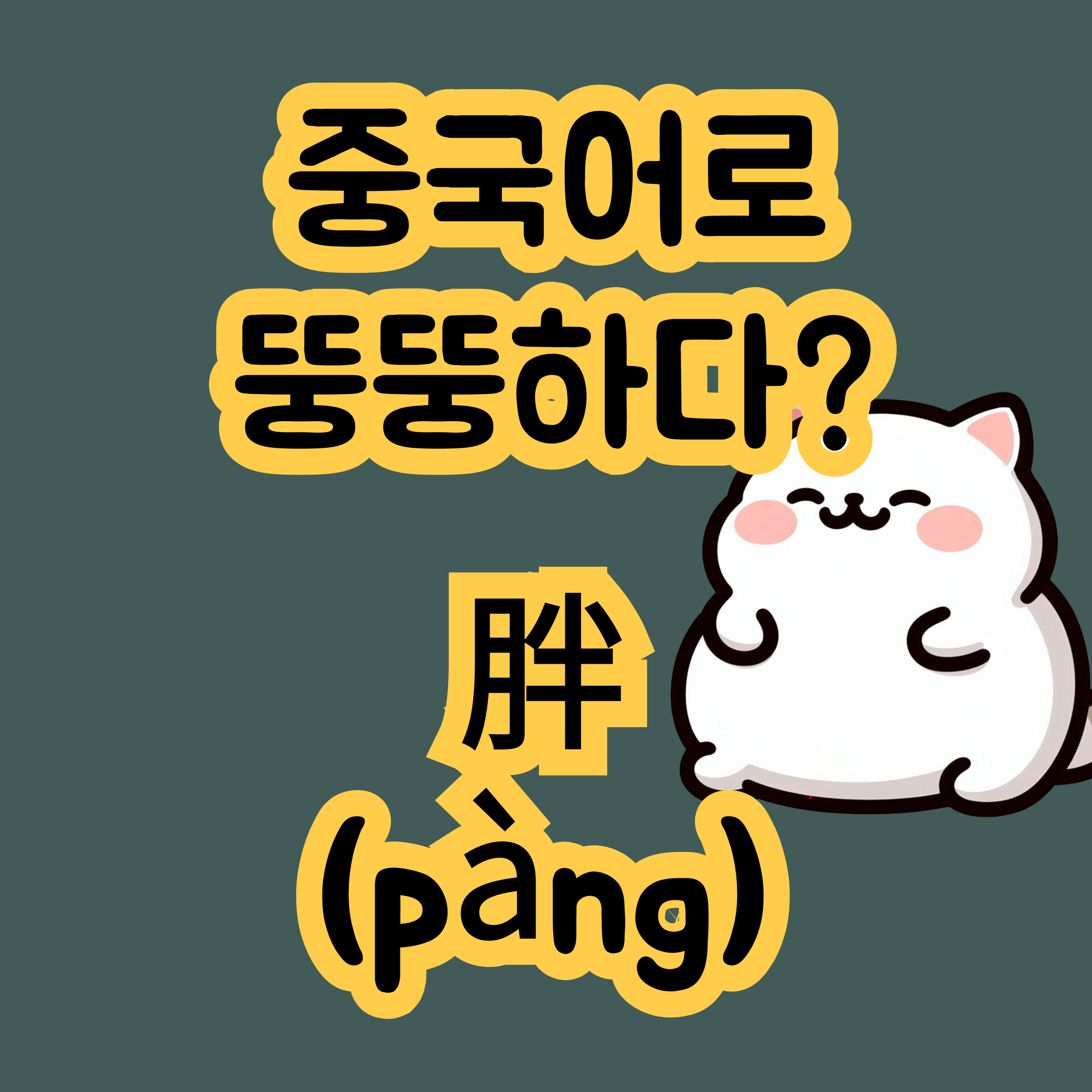 중국어로 뚱뚱하다 胖