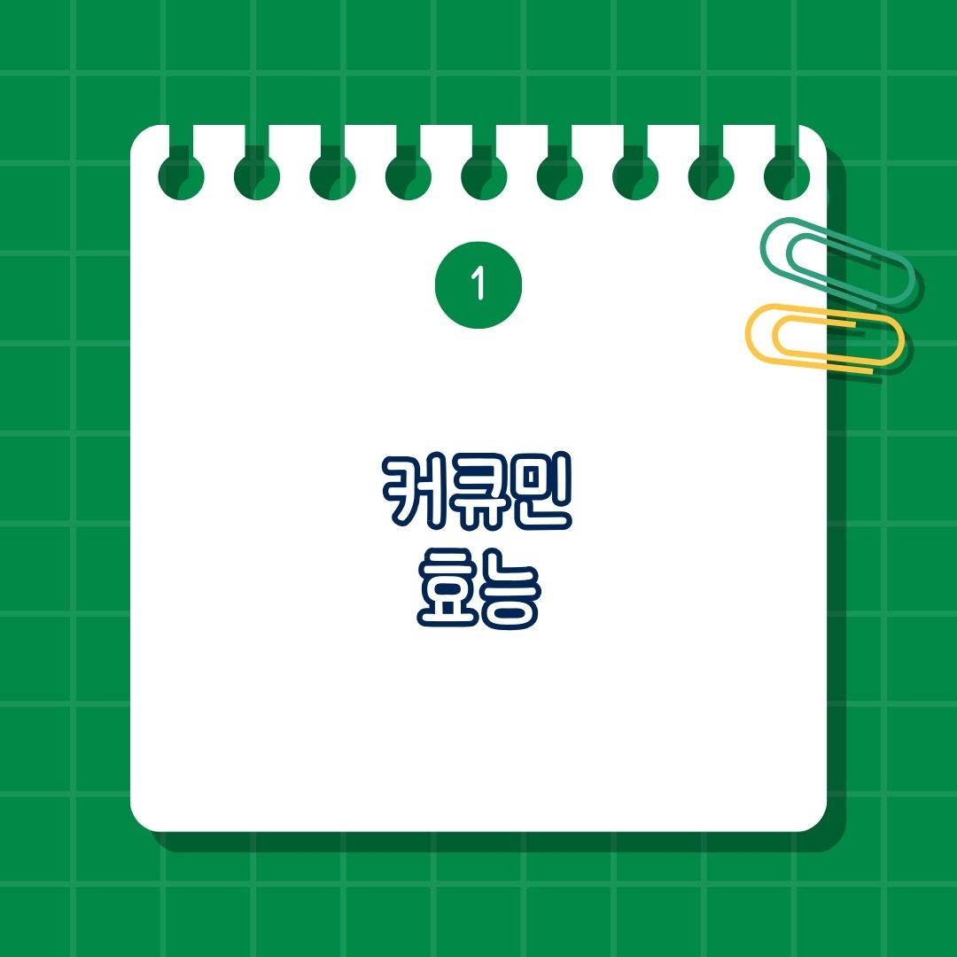 커큐민(Curcumin) 효능