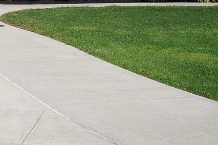 대입 수시 정시 일정