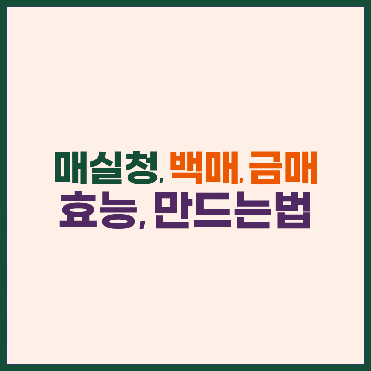 매실청-백매-금매-효능-만드는법