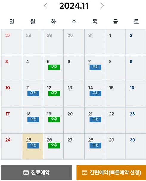 김치경교수-진료일정