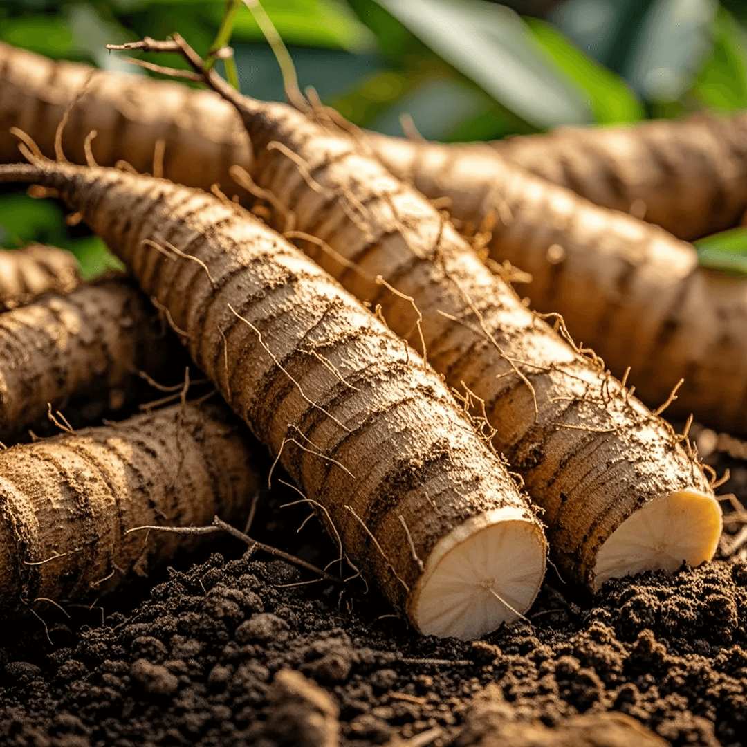 마 효능 부작용