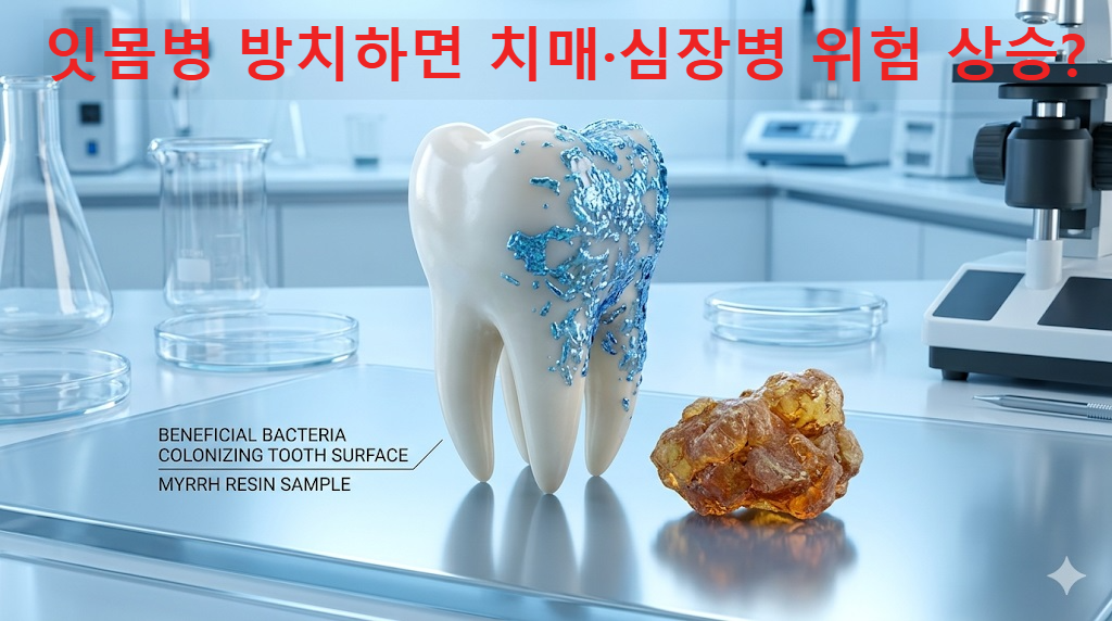 구강 내 유익균 증식과 잇몸 건강을 돕는 구강 유산균 및 몰약 추출물 이미지