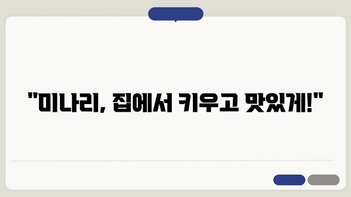 미나리 재배방법 및 요리 무침 황금레시피 알아보기