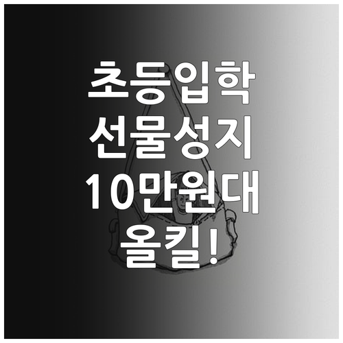 10만원대 초등학교 입학 선물 책가방..