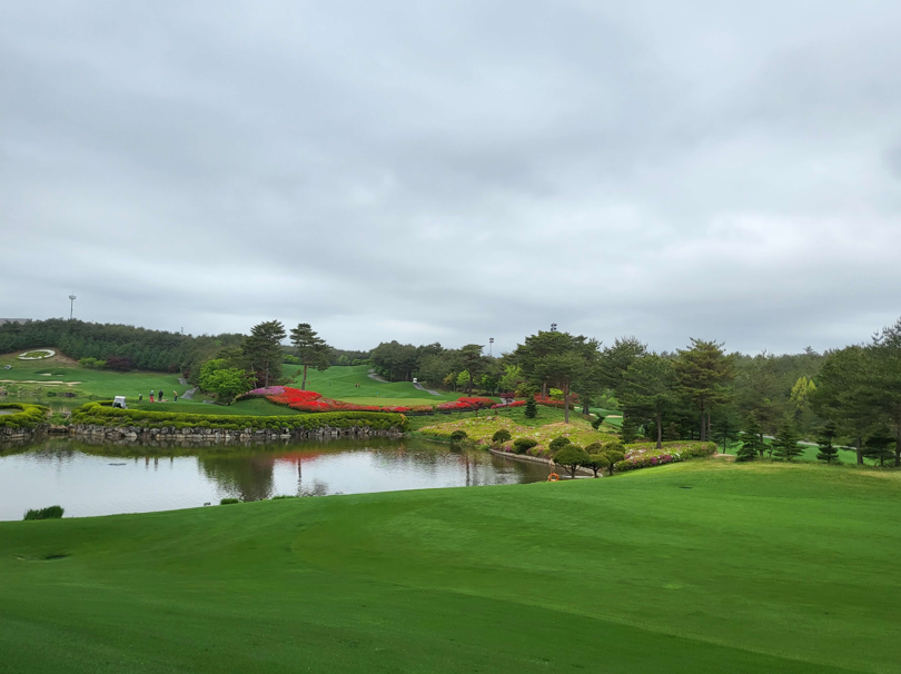 파인리즈CC 봄전경