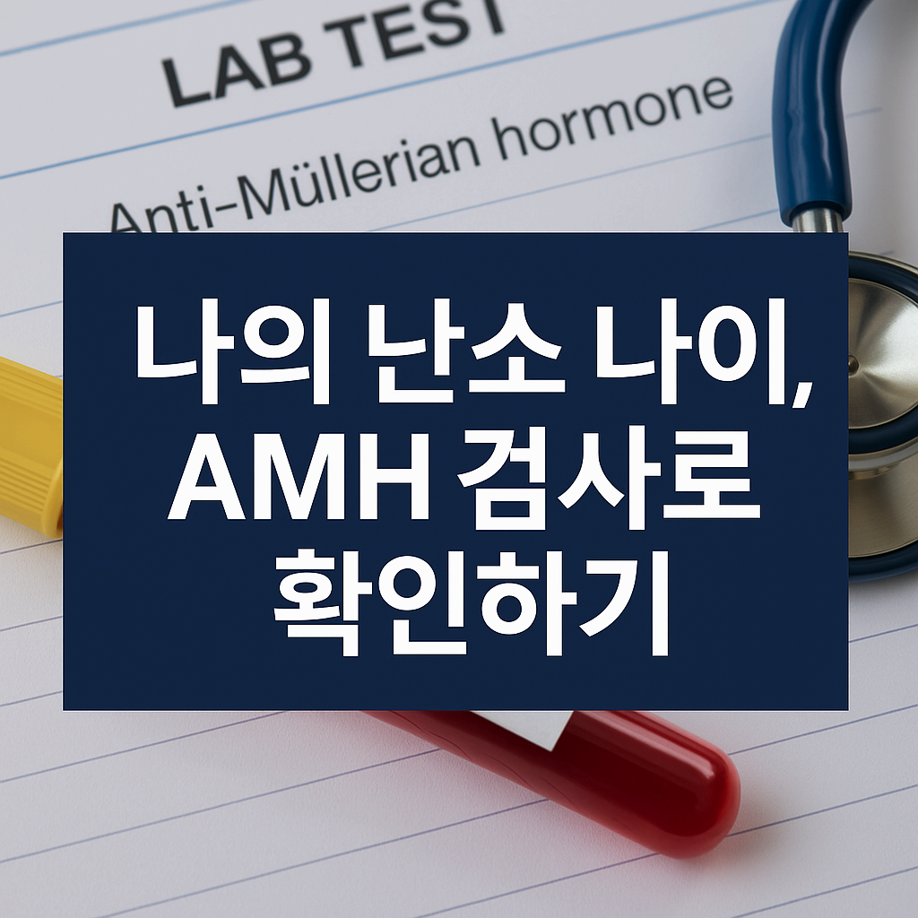 AMH검사