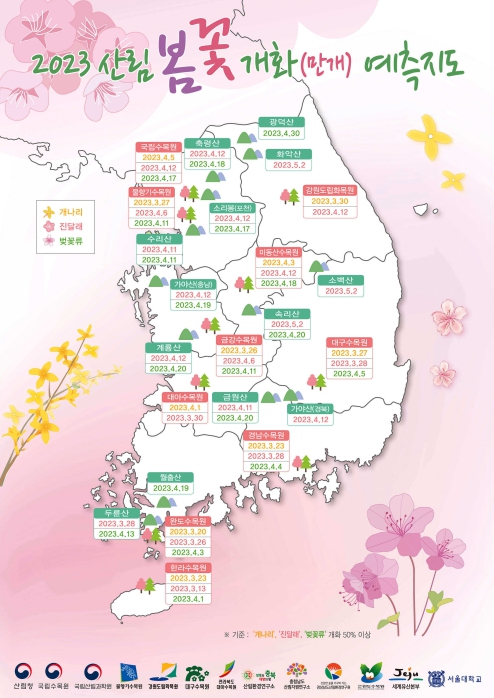 2023년 봄꽃 개화 시기 명소 및 축제