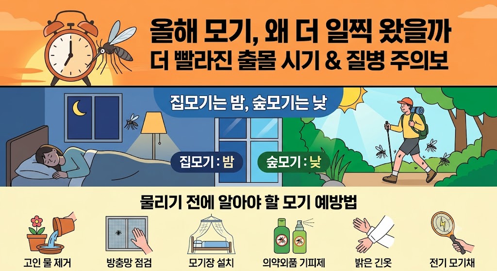 여름철 모기 올해 더 많아지는 이유 &amp; 모기 활동 시간과 효과적인 예방법 총정리