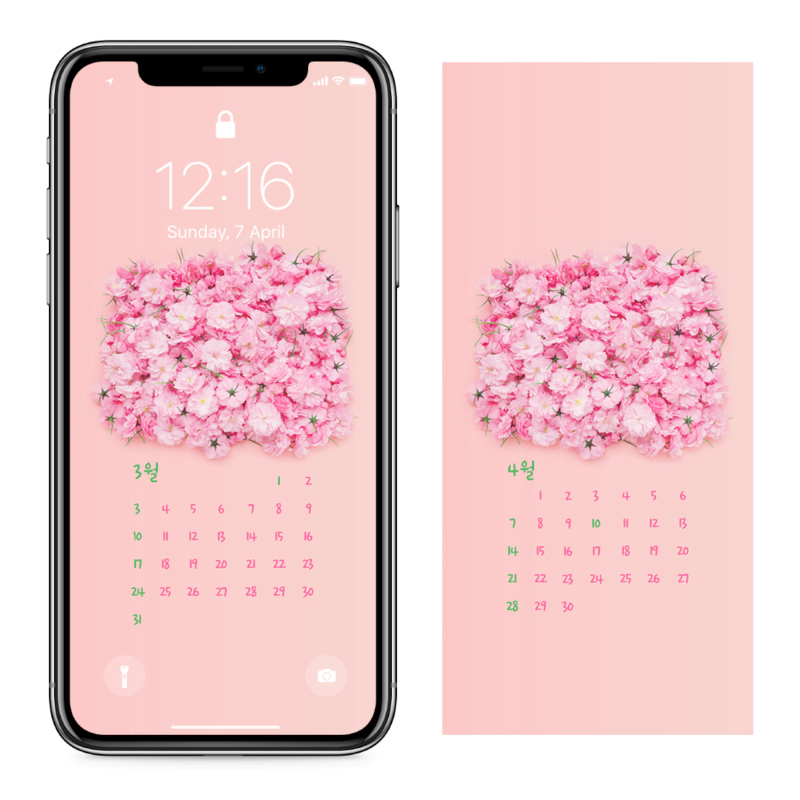 04 벚꽃 AB - 2024년3월 아이폰달력배경화면