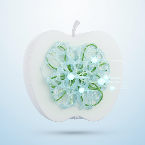 사과 속 비밀 무기: 펙틴과 식이섬유의 혈당 안정 효과