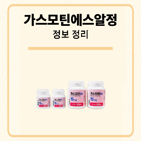 가스모틴에스알정 정보 정리