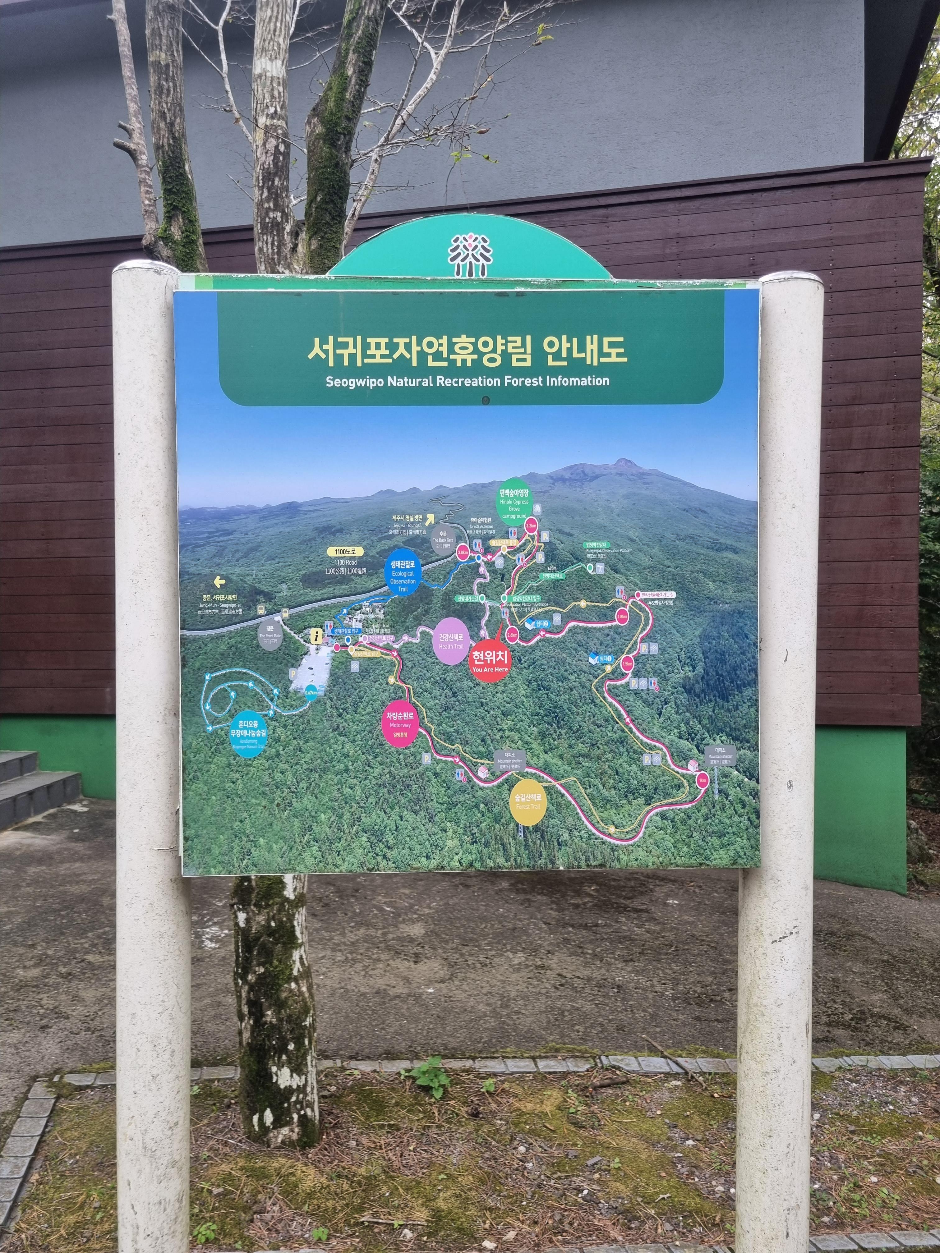 서귀포자연휴양림