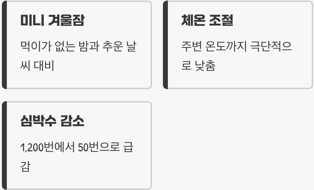 생존을 위한 겨울잠&amp;#44; 토퍼(Torpor)