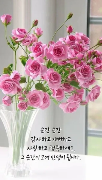 사위 생일축하 문구 아이디어 모음_33