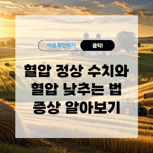 혈압 정상 수치와 혈압 낮추는 법 증상 알아보기