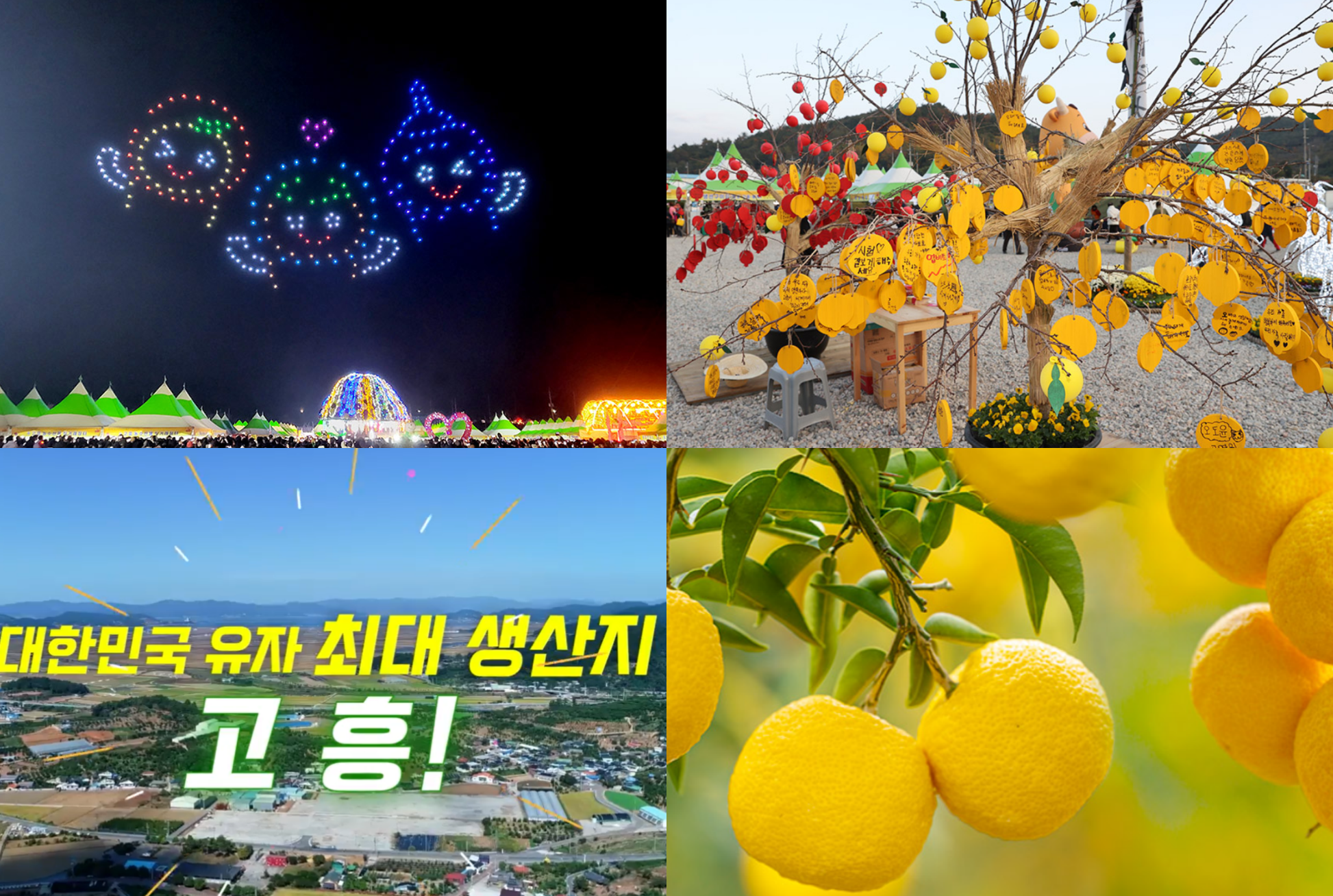 고흥 유자축제