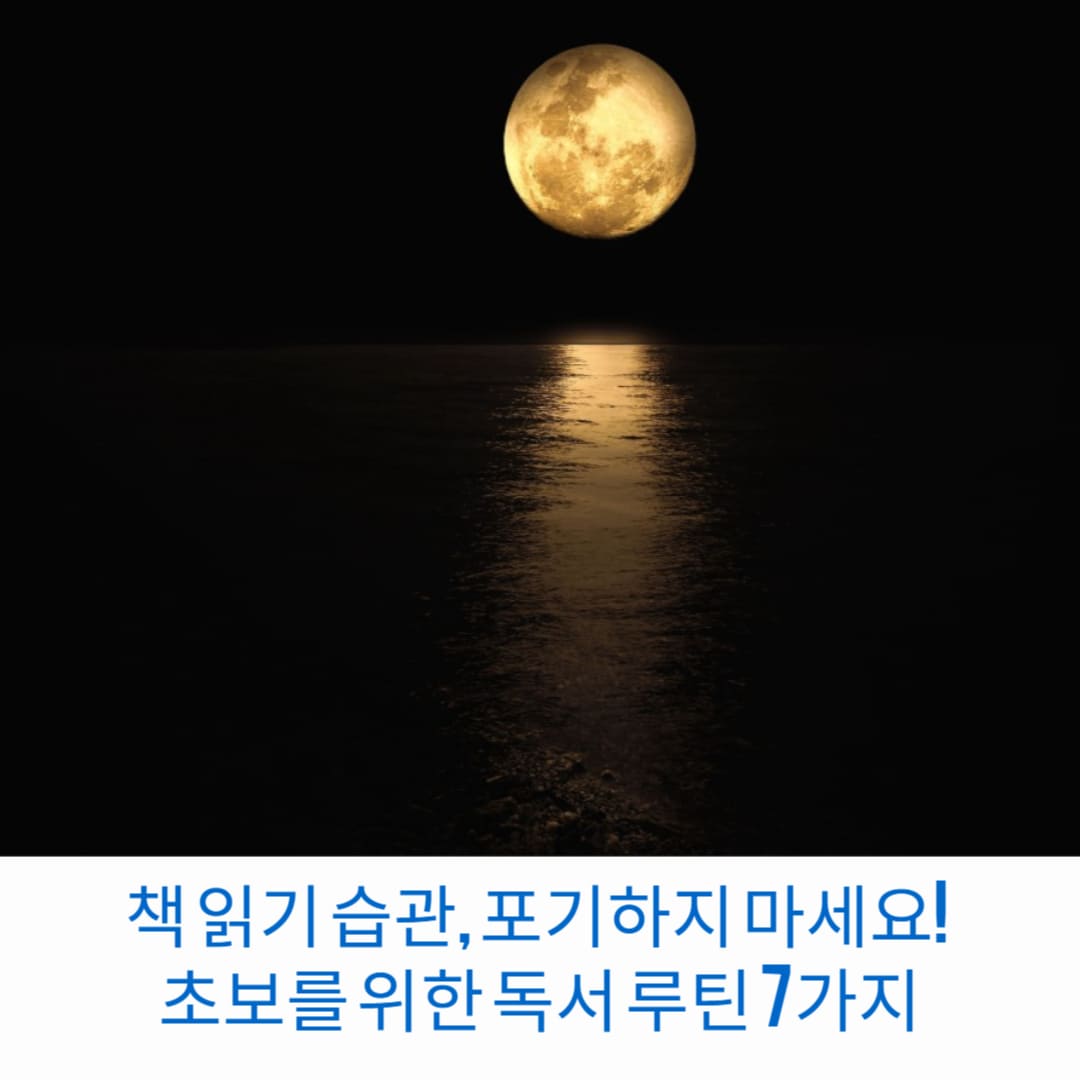 책-읽기-습관-포기하지-마세요-초보를-위한-독서-루틴-7가지-썸네일