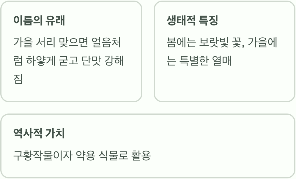 '어름'처럼 차가운 가을의 선물