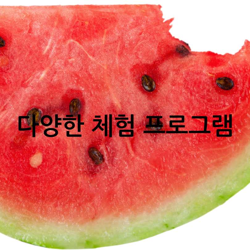 2025 여름 양평 수박축제 : 서울 근교 여행&amp;#44; 축제