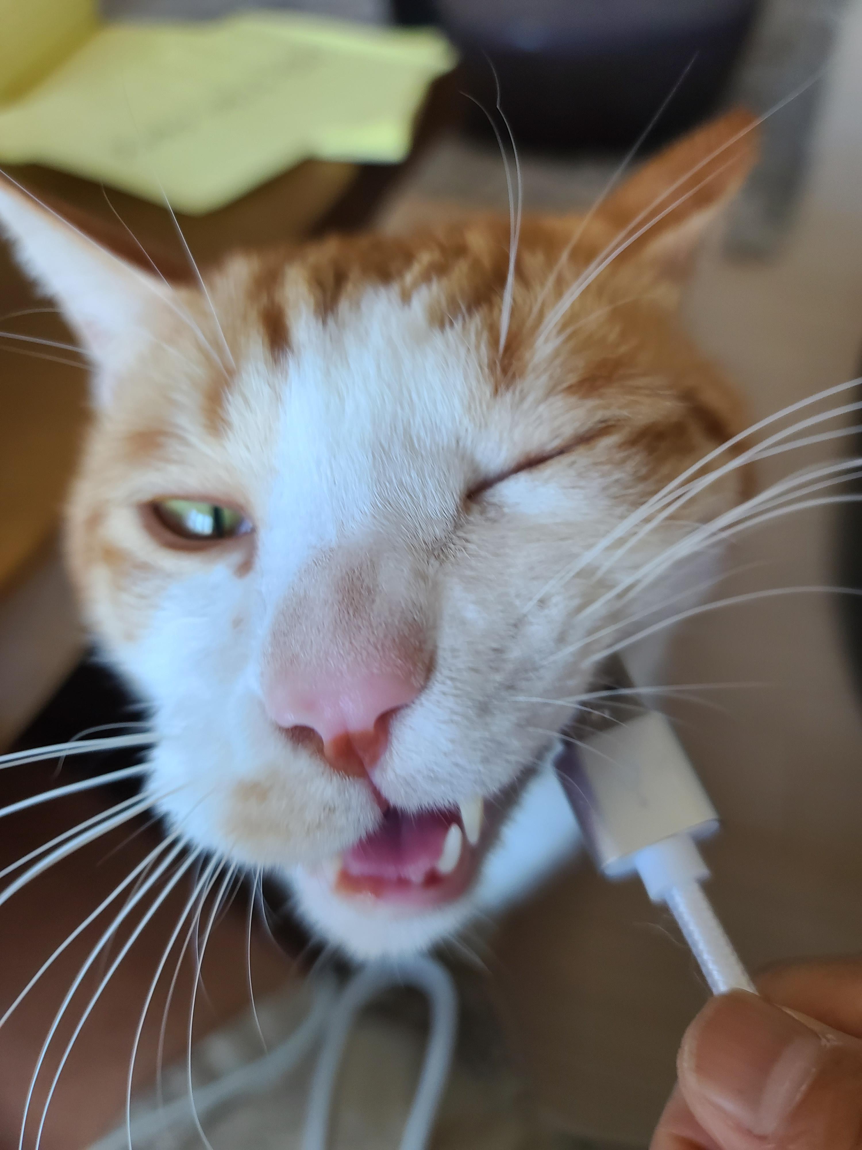 엄마손에 있는건 다 내꺼! 오랜만인 엄마랑의 오붓한 시간에 칭얼칭얼.