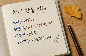 처서 음식과 늦여름 풍경