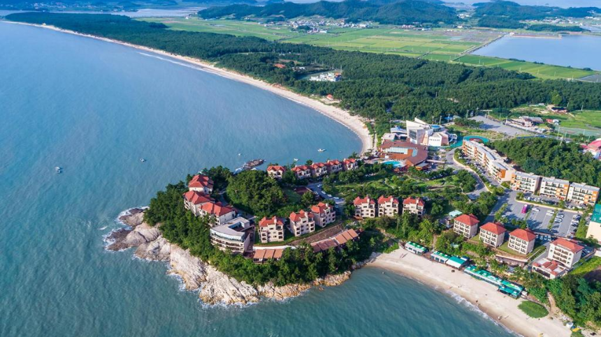 신안 퍼플섬 여행 가이드 - 보랏빛 낭만 속으로!