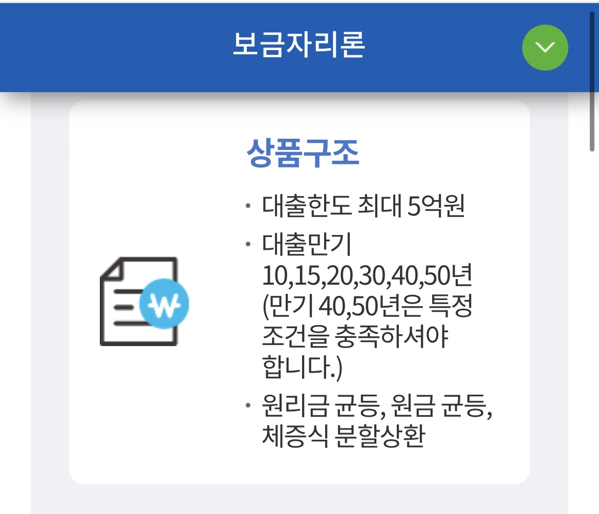 특례보금자리론