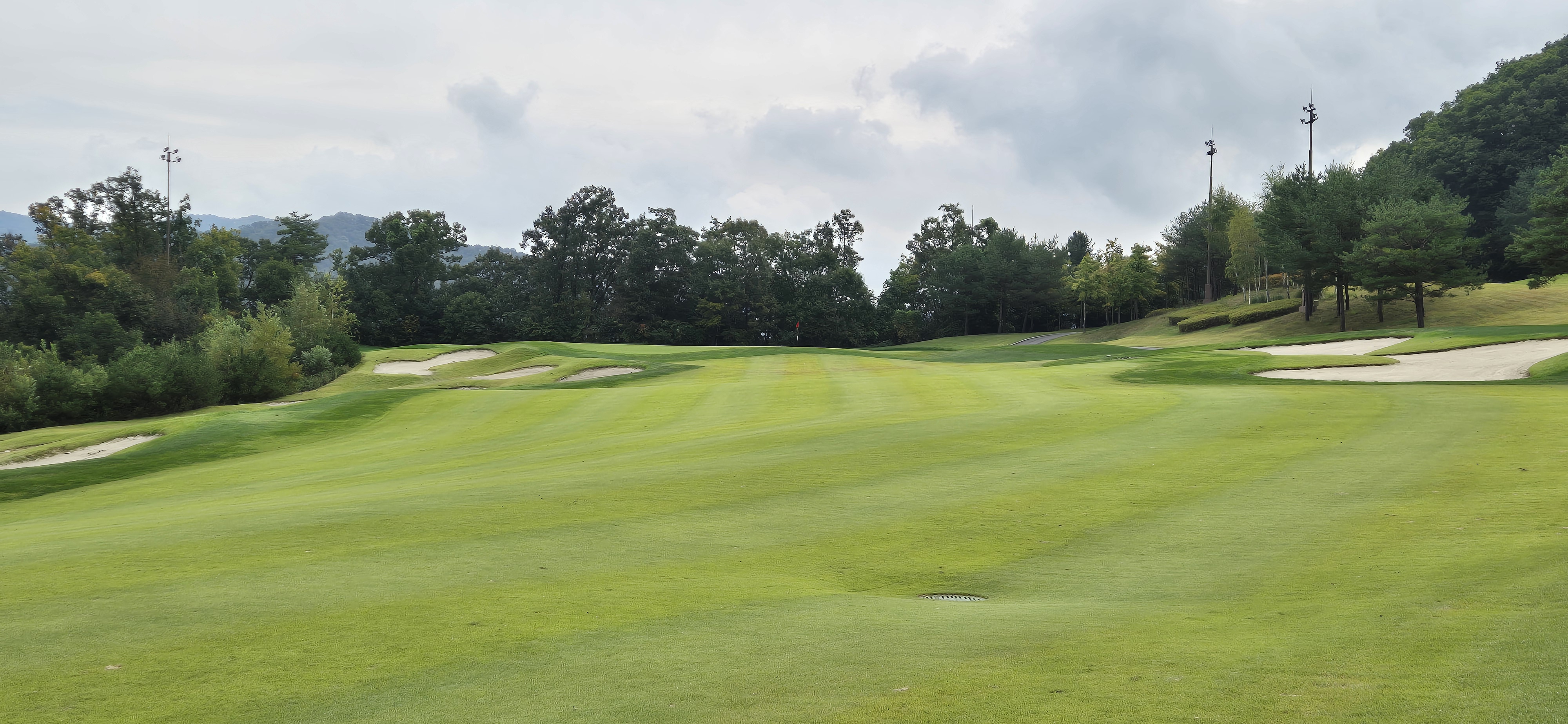 소노펠리체cc이스트