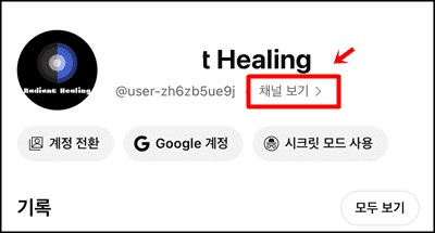 내 채널 보기