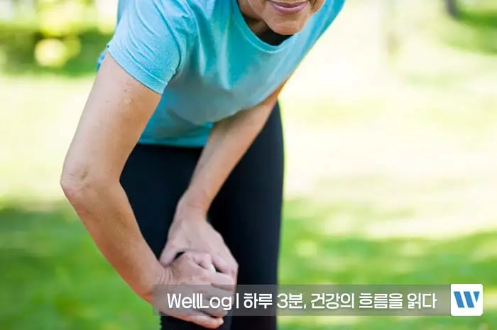 콘드로이친 효능