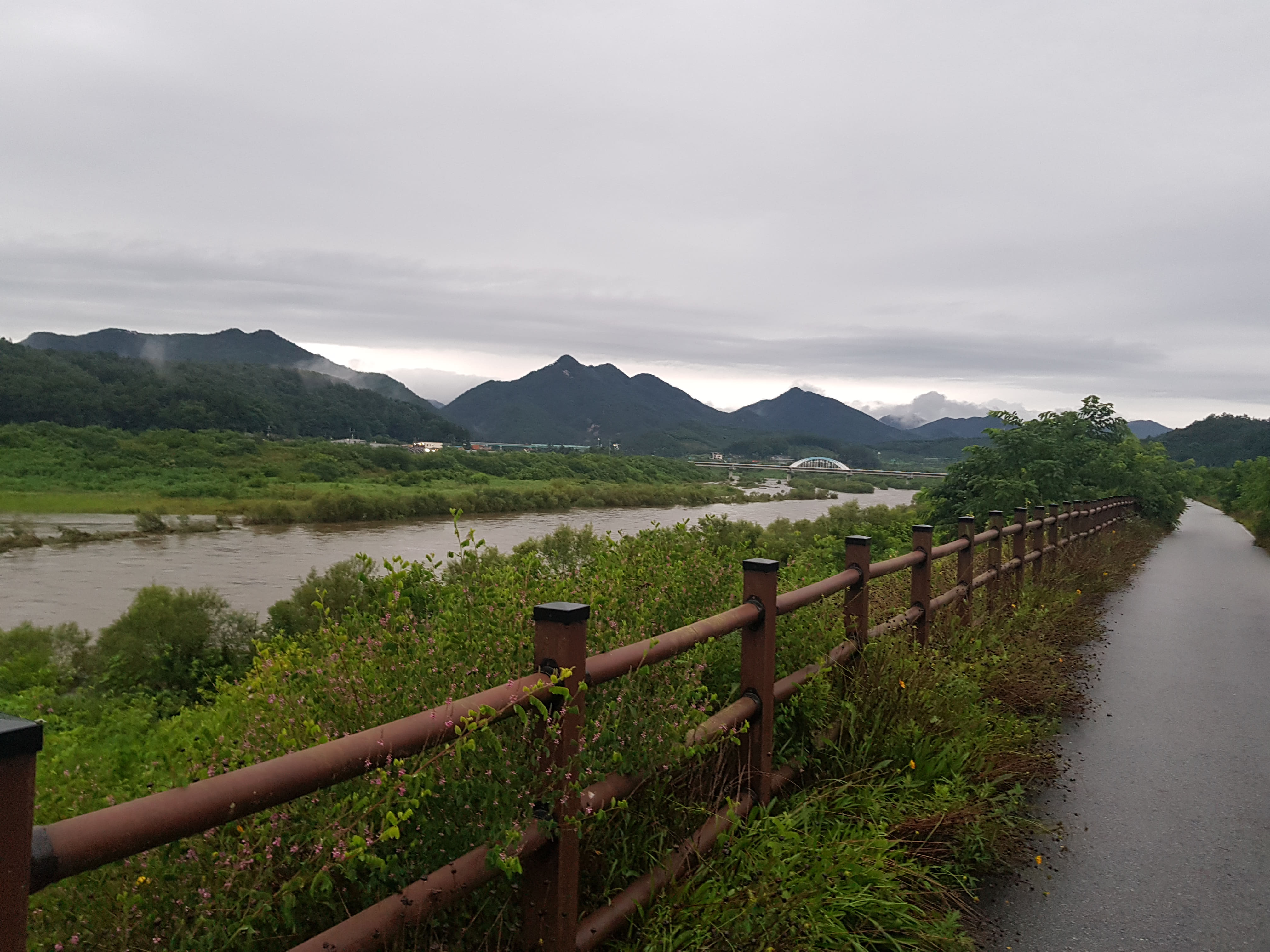 토지 투자에서 ‘호재’라는 말이 위험한 이유