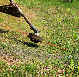 명절 벌초 방법