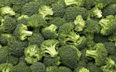 ⑦ 브로콜리(Broccoli)