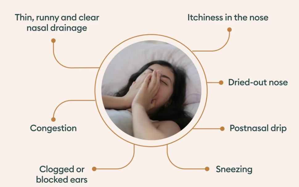 비염에 좋은 차