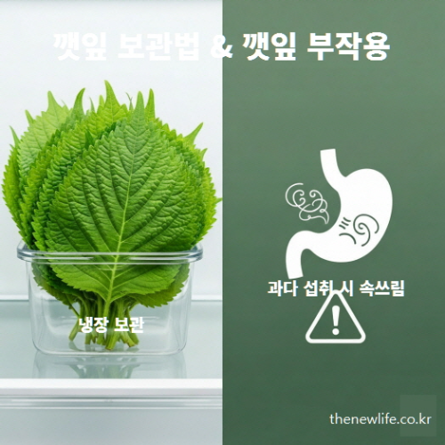 냉장 보관된 깻잎과 과다 섭취 시 속쓰림을 나타내는 그림 – 깻잎 보관법과 부작용 안내