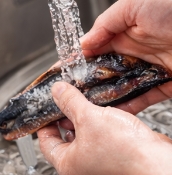 과메기 맛있게 먹는법