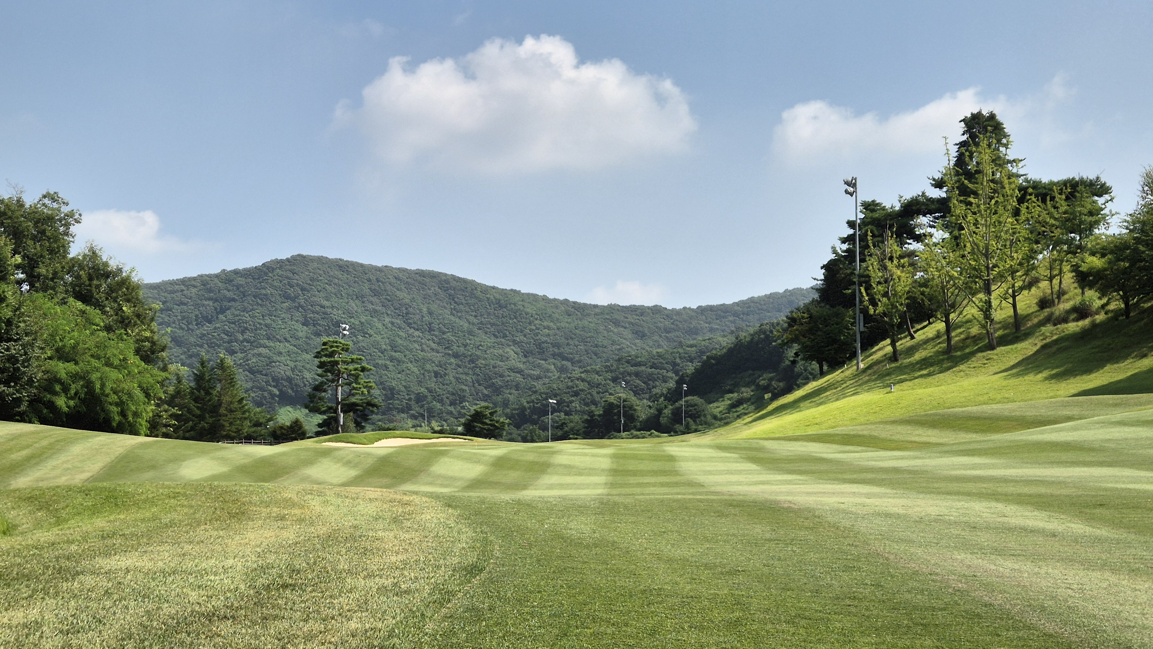 골프존카운티 안성H