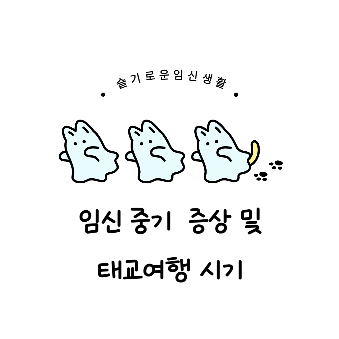 임신중기 태교여행