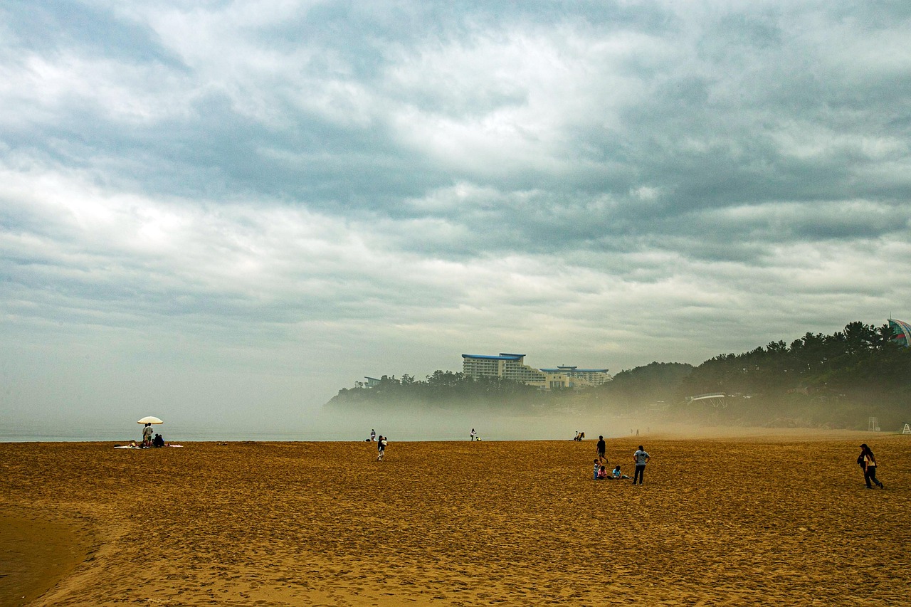 강원도의 혼자 여행해도 좋은 명소 TOP3 (속초, 정선, 삼척)