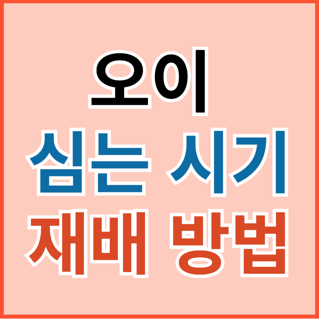 오이 심는 시기, 재배 방법, 모종 심기, 수확 시기 알아 보기