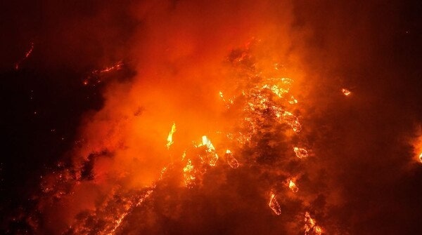 산불피해 기부 산불기부처 세액공제 답례품