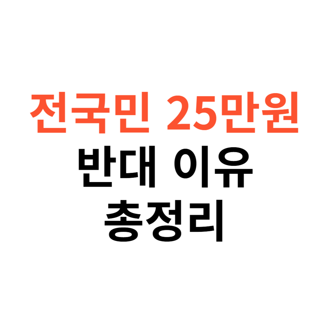 전국민 25만원 지원금