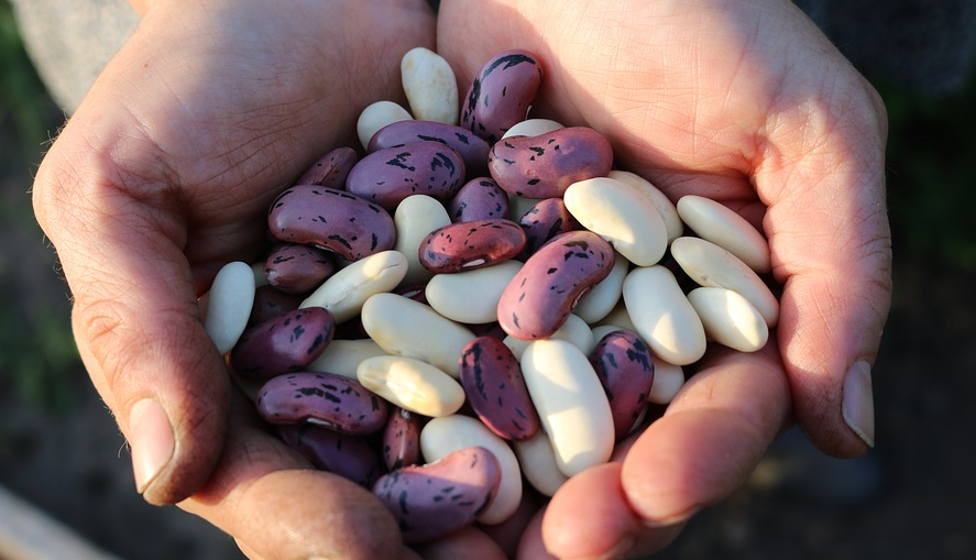 쾌변 장에 좋은 음식