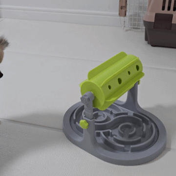 슬로우식기를 이용하는 강아지